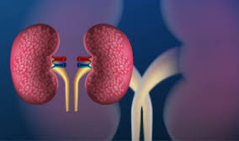 Best Nephrologist In Bangalore