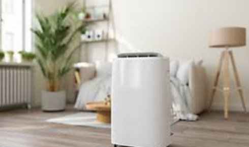 purify the air